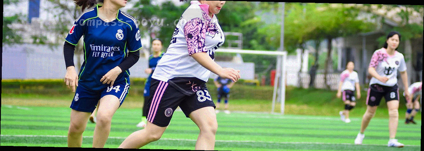 连续 14 格刻度组成的横向周期条，其中一格用暖橙高亮标记当前周期，尾端接公告编号标签